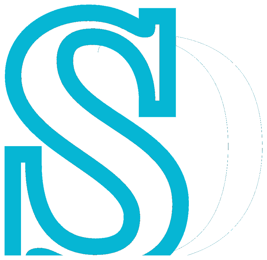 Digital SEO Solution logo